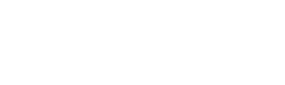 PRESSE NEW HOLLAND